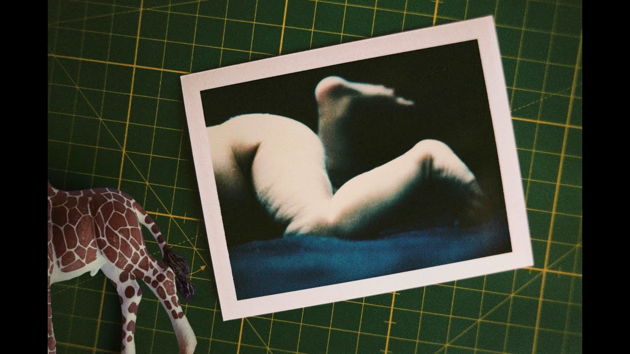 LIFE & Other Problems - OFFICIAL TRAILER