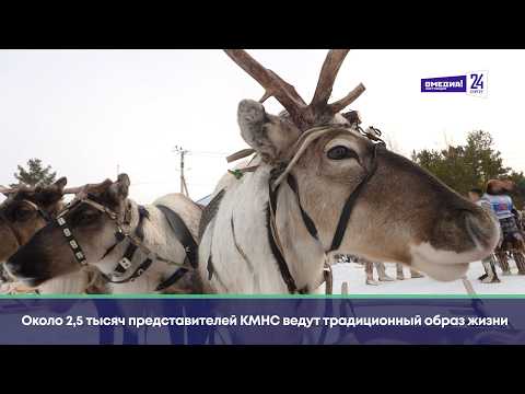 "Давай съездим": День оленеводов, рыбаков и охотников в Русскинской