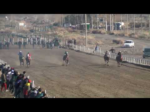 BARBERITO  Club Hípico Añelo - Añelo - 16-07-2023