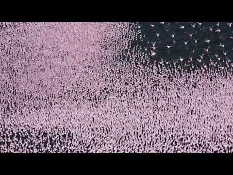 Comprendre la Physique Quantique / Épisode 1 / Machines quantiques