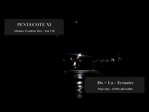PENTECOTE XI 03 ALLELUIA EXULTATE DEO (Ton VII - La)