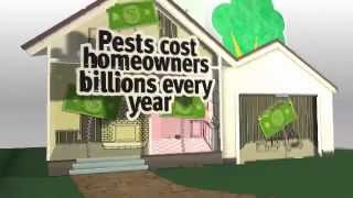 preview picture of video 'Springfield Virginia Pest Control Company'