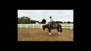 Video 1
