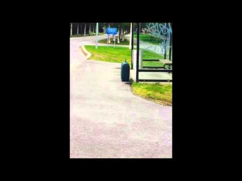 Mennä Huitelee - J. Karjalainen