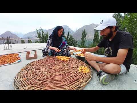 Drying Apricots for Winter Delights!  | Aleem Lens