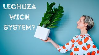 How To Grow Plants In Lechuza Planters With Wick System - Cube 16, Cube 14, Canto 14