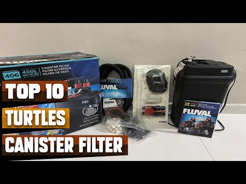 Best Canister Filter For Turtle In 2026 - Top 10 Canister Filter For Turtles Review