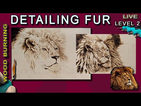 Pyrography (level 2 🔥 ) : Learn to Wood Burn a Lion! Detailing Long Thick Fur