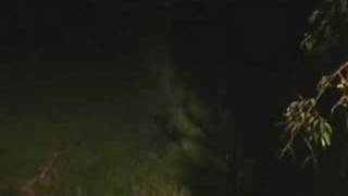 Thursday I1100 - Rain Aftermath