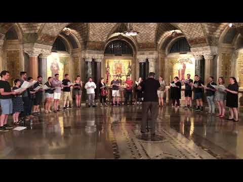 Choir of the Basilica: Sicut Cervus