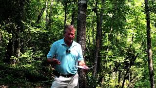 Lake Keowee Real Estate Expert Video Update August 2022 Mike Matt Roach Top Guns Realty