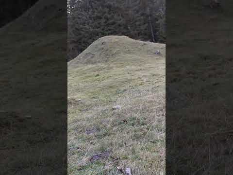 Bany nach erfolgreicher Hasenjagd...