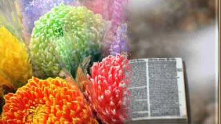 de colores-joan baez.wmv