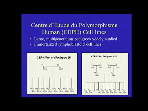 Pharmacogenomics - Howard McLeod (2012)