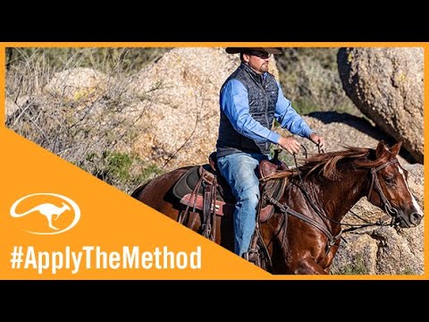 Training Tip: Teach Your Hot Horse to Lope Slowly