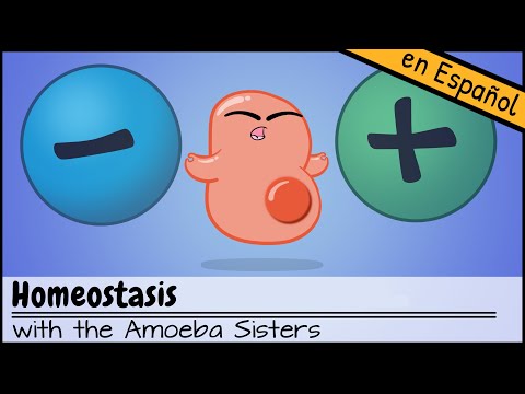 Haz clic para reproducir el video