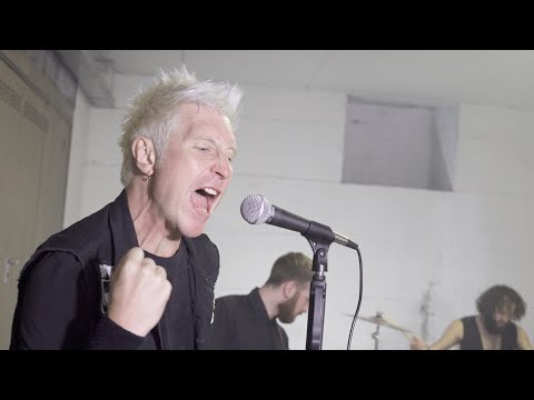 No Time For False Friends - The Cloverhearts