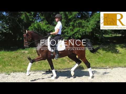 SOLD - Dressurpferd - 2012 Westfalenstute von Franziskus, Stm. ca. 1,70, Dressurpferde L - Florence