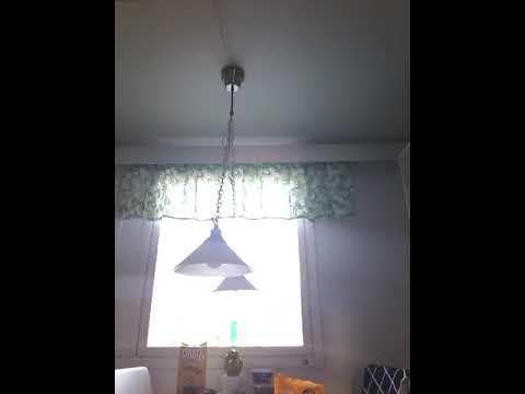 Poliisi on tutkii tapausta tutkitaan ja torakat tree