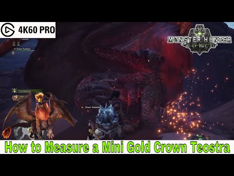 Monster Hunter: World - How to Measure a Mini Gold Crown Teostra (Wildspire Waste) Video