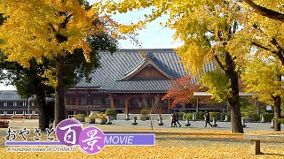 「秋麗（あきうらら）」『おやさと百景』(87)