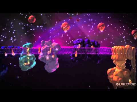 3D Animation - MOA Demo