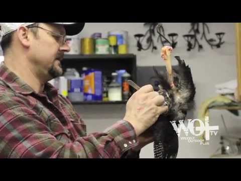 Weekly Outdoor Plus+  Episode 106