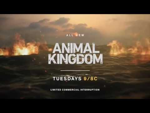 ANIMAL KINGDOM 2x05 - FORGIVE US OUR TRESPASSES