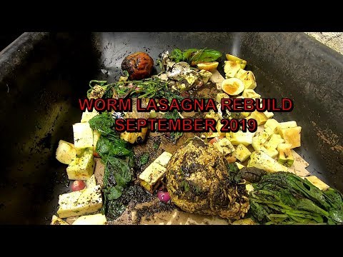 WORM LASAGNA REBUILD