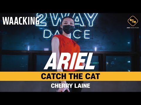 【 WAACKING 】 CATCH THE CAT - CHERRY LAINE / ARIEL