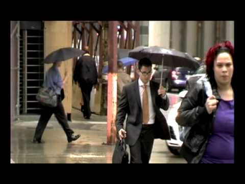 Cassels Brock & Blackwell Articling Class 2009-2010