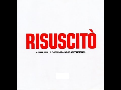 UN GERMOGLIO SPUNTA DAL TRONCO DI JESSE (Cfr. Is 11,1-11a)