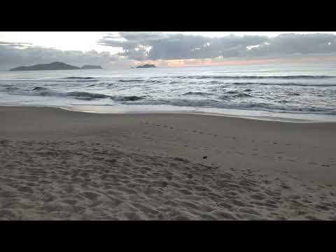 Terça-feira com ondas pequenas para o surfe em Balneário Barra do Sul SC 