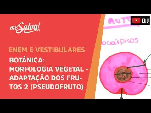 Me Salva! BOT45 - Botânica - Morfologia vegetal: adaptações dos frutos II (Pseudofrutos)