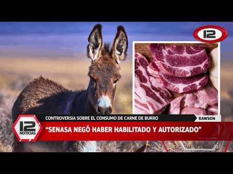 RAWSON | CONTROVERSIA SOBRE EL CONSUMO DE CARNE DE BURRO