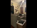 Levi S Boring Life Of Jokes