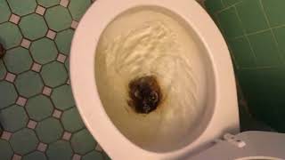 Fix Slow Flushing Toilet