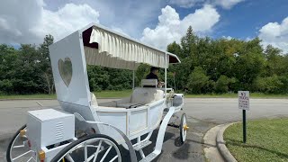 Xuchang Zhenda White Love Electric Wedding Horse Carriage Highlights