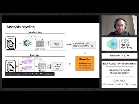 Characterizing models of visual intelligence