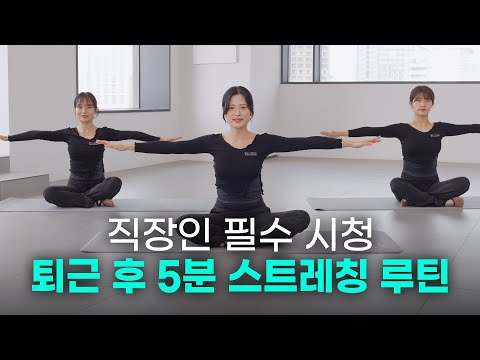 직장인 필수 시청!! 물리치료사가 알려주는 퇴근 후 5분 스트레칭 루틴 유투브 영상의 썸네일입니다.