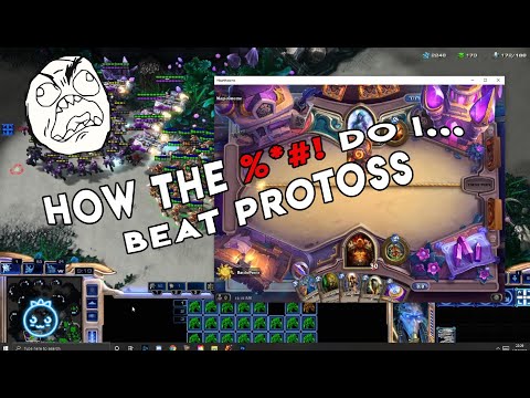 How the %*#! do I...  beat Protoss!?
