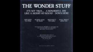 The Wonder Stuff - It's Not True (The Wonder Stuff B Sides)