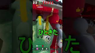 【神回】パート16　見えるものがすべてではない、起きることが事実なのだ【めっちゃカメレオン】 #shorts#めっちゃカメレオン#かくれんぼ#mecchachameleon