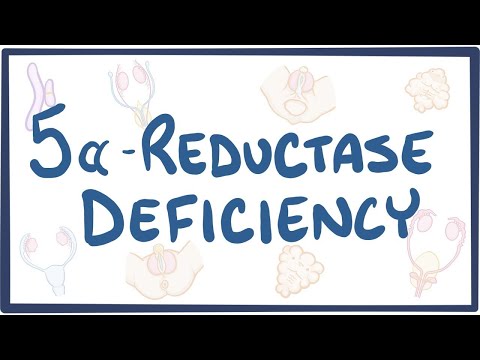 5-alpha reductase deficiency - an Osmosis Preview
