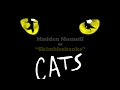 CATS - Madden Mausolf as "Skimbleshanks"