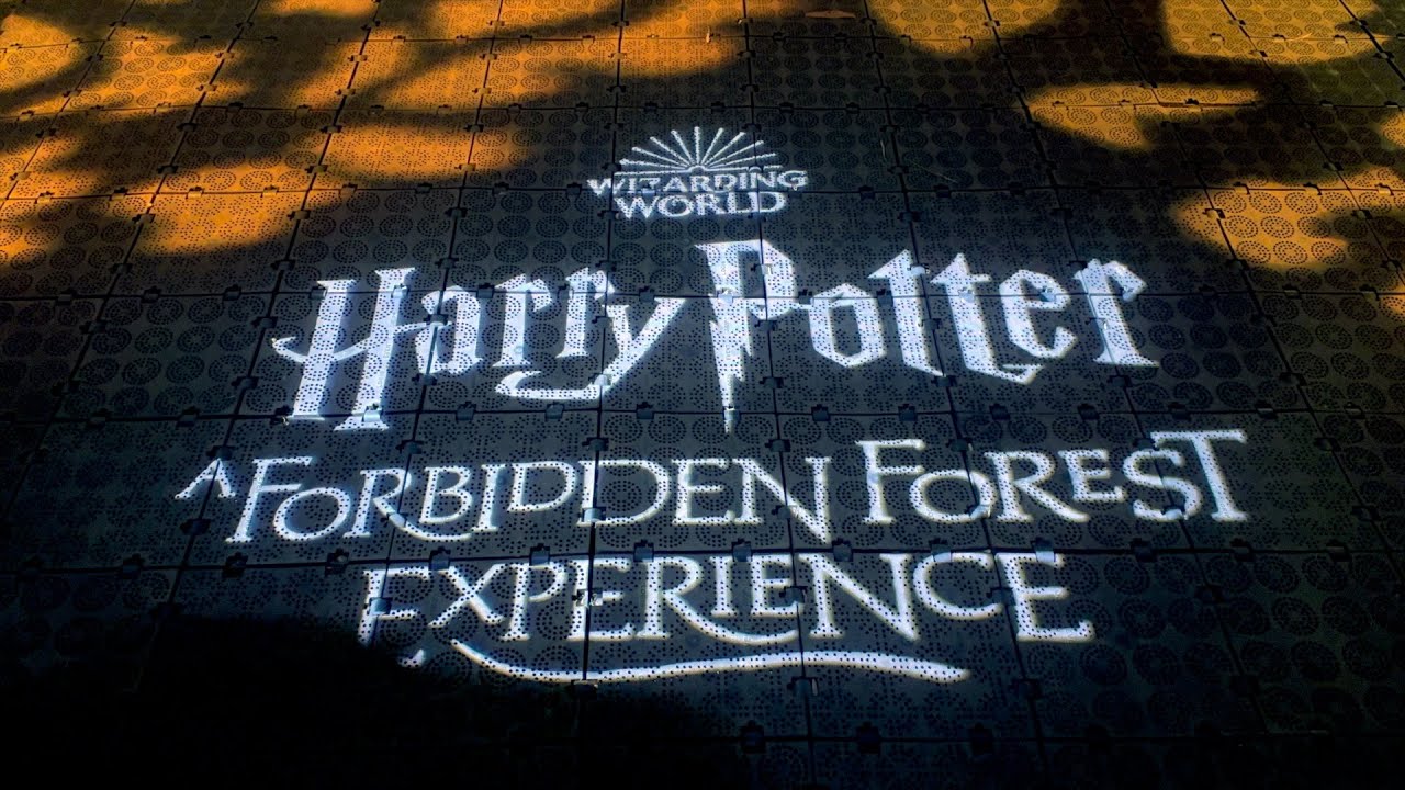 Discover the highlights of Harry Potter: Forbidden Forest Experience.