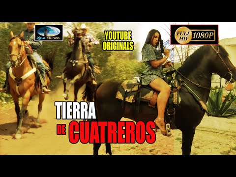 🎥 TIERRA DE CUATREROS - Pelicula Completa en español | OLA STUDIOS TV 🎬