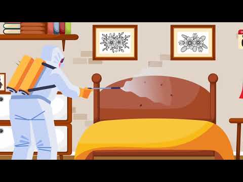 Pest Hub London video.