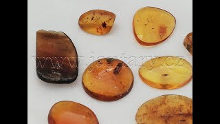  Křídový jantar SJ-9