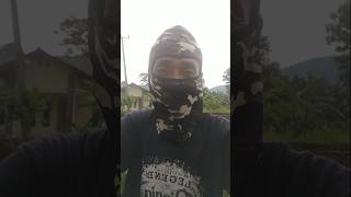 Download lagu angon domba dipesawahan sambil ngopi mp3